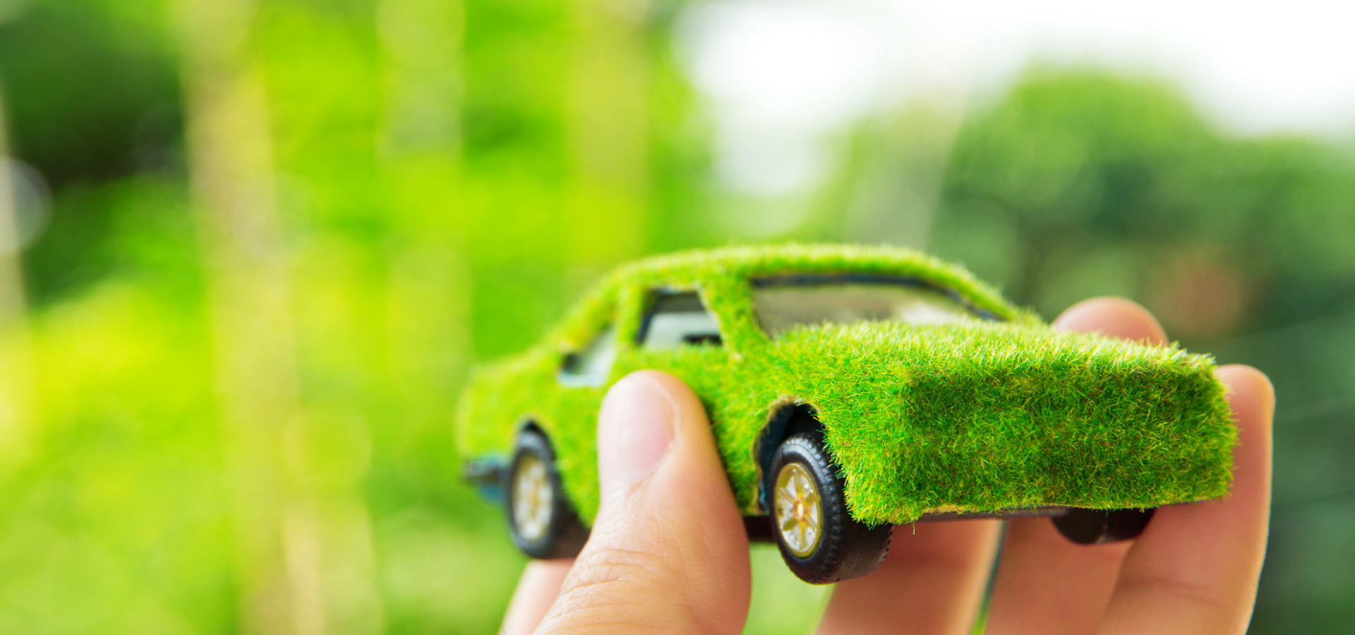 Государственная политика по продвижению экологически чистых автомобилей